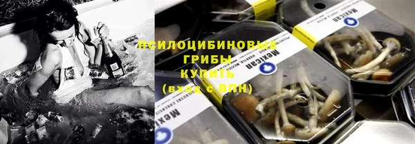 твердый Алзамай