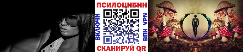 Псилоцибиновые грибы мицелий цена наркотик Динская